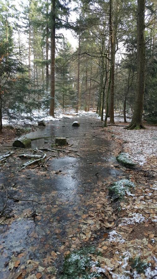Reewold Veluwe *