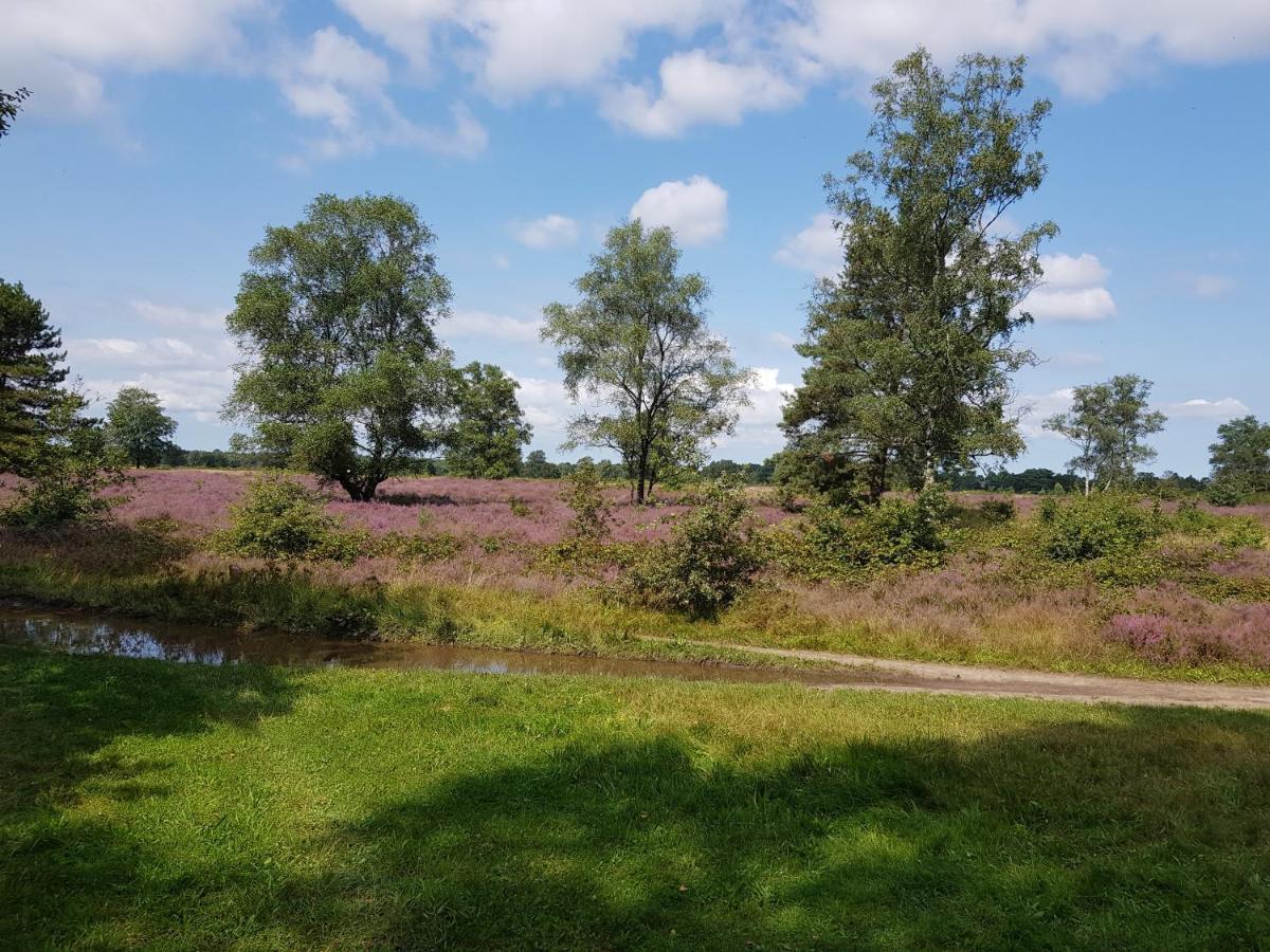 Reewold Veluwe *