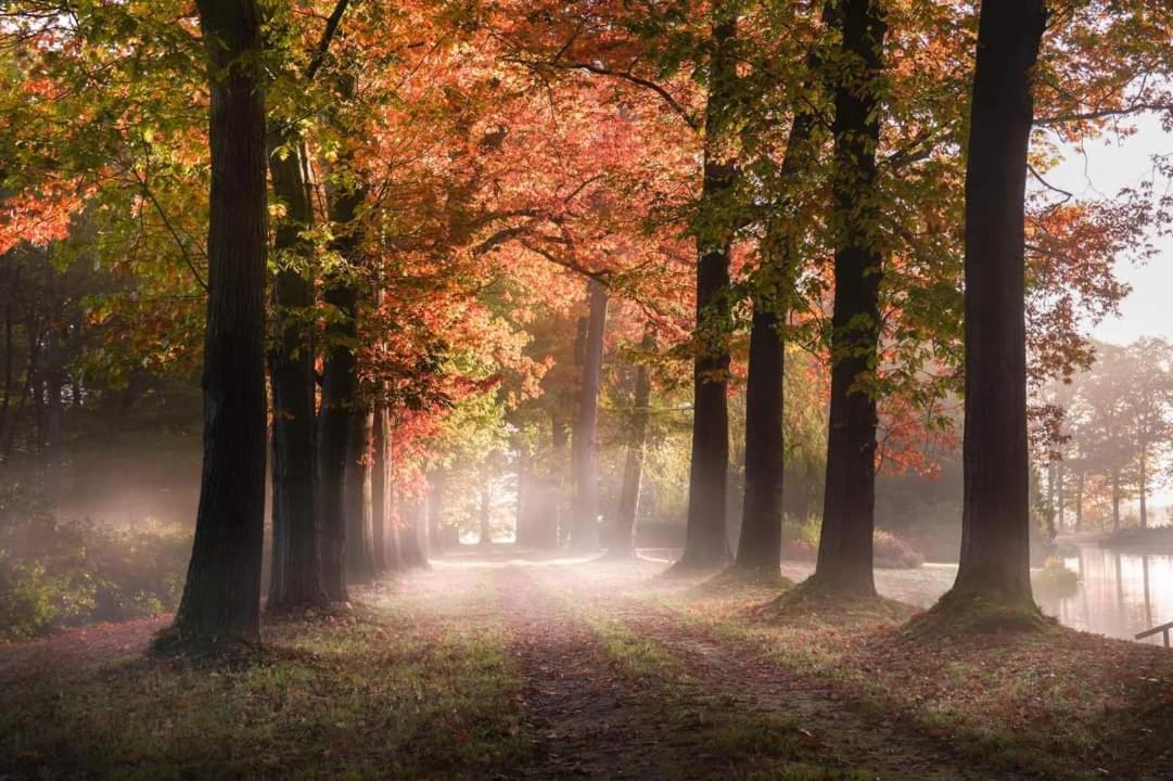 Reewold Veluwe * Putten