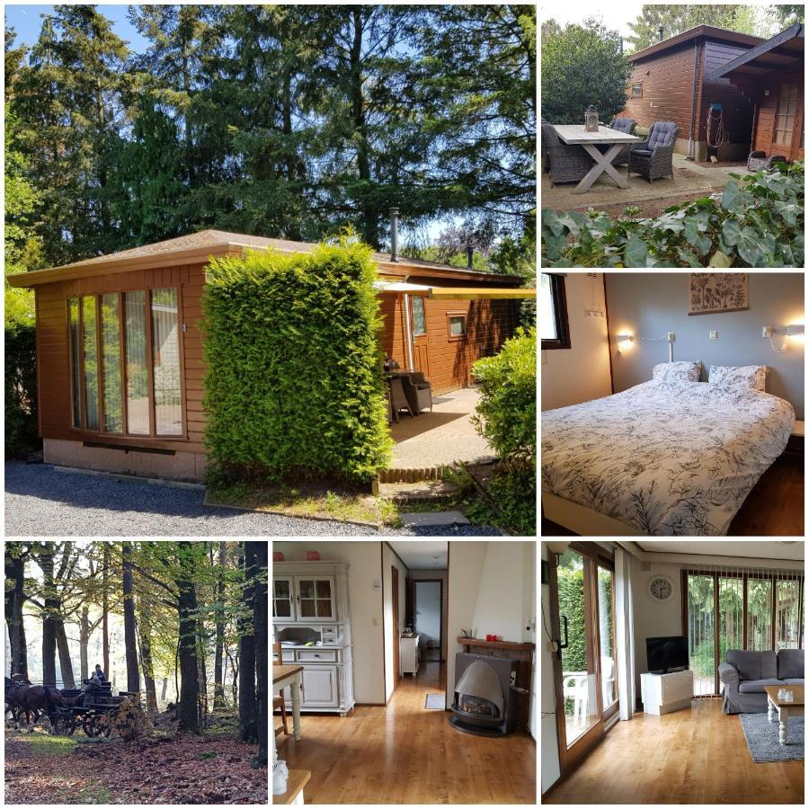 Chalet Reewold Veluwe Putten
