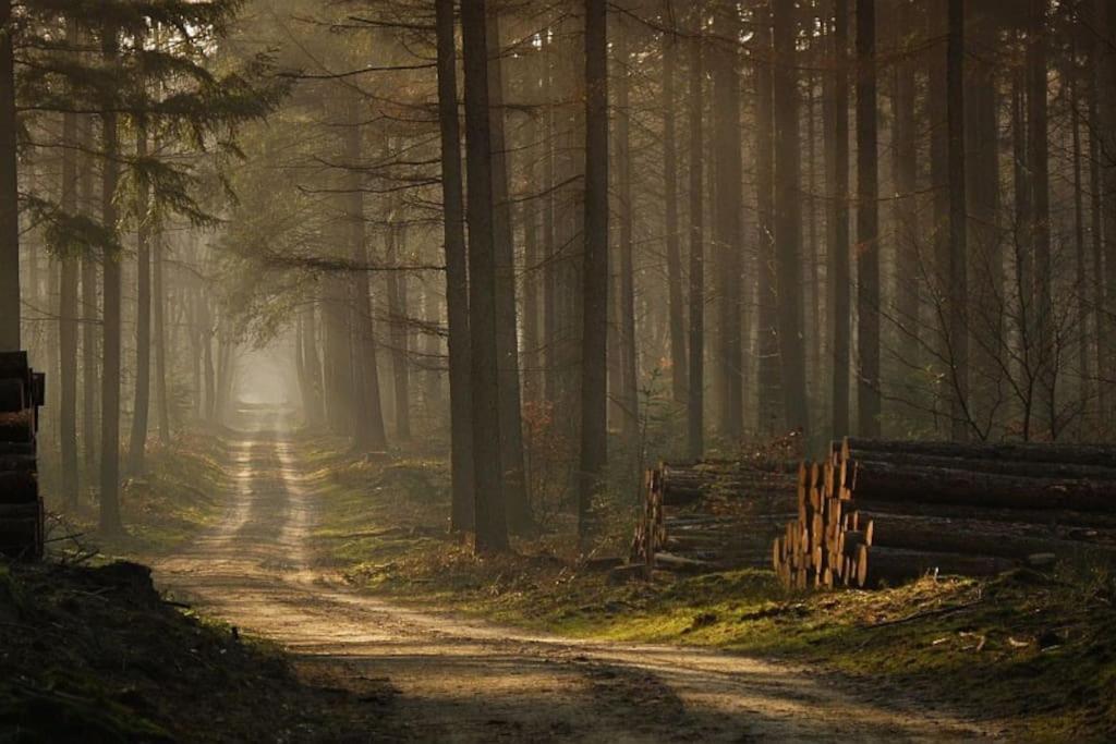 Chalet Reewold Veluwe Putten