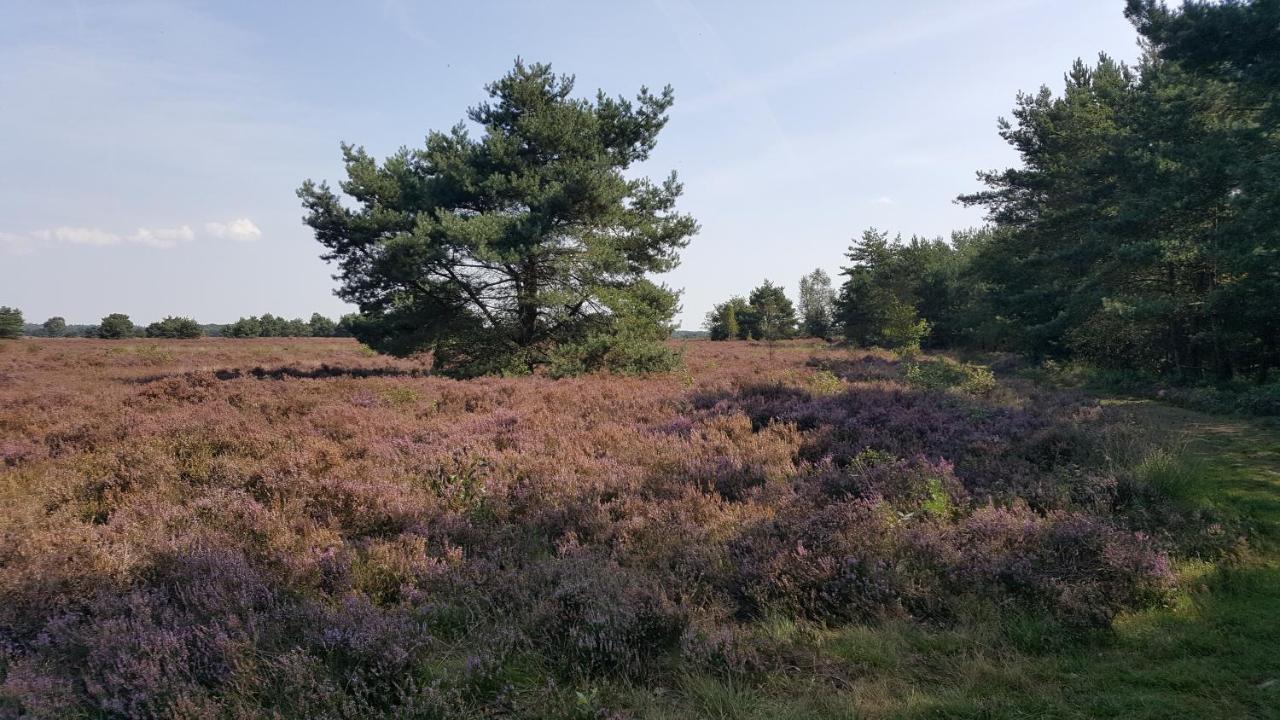 Reewold Veluwe Chalet *