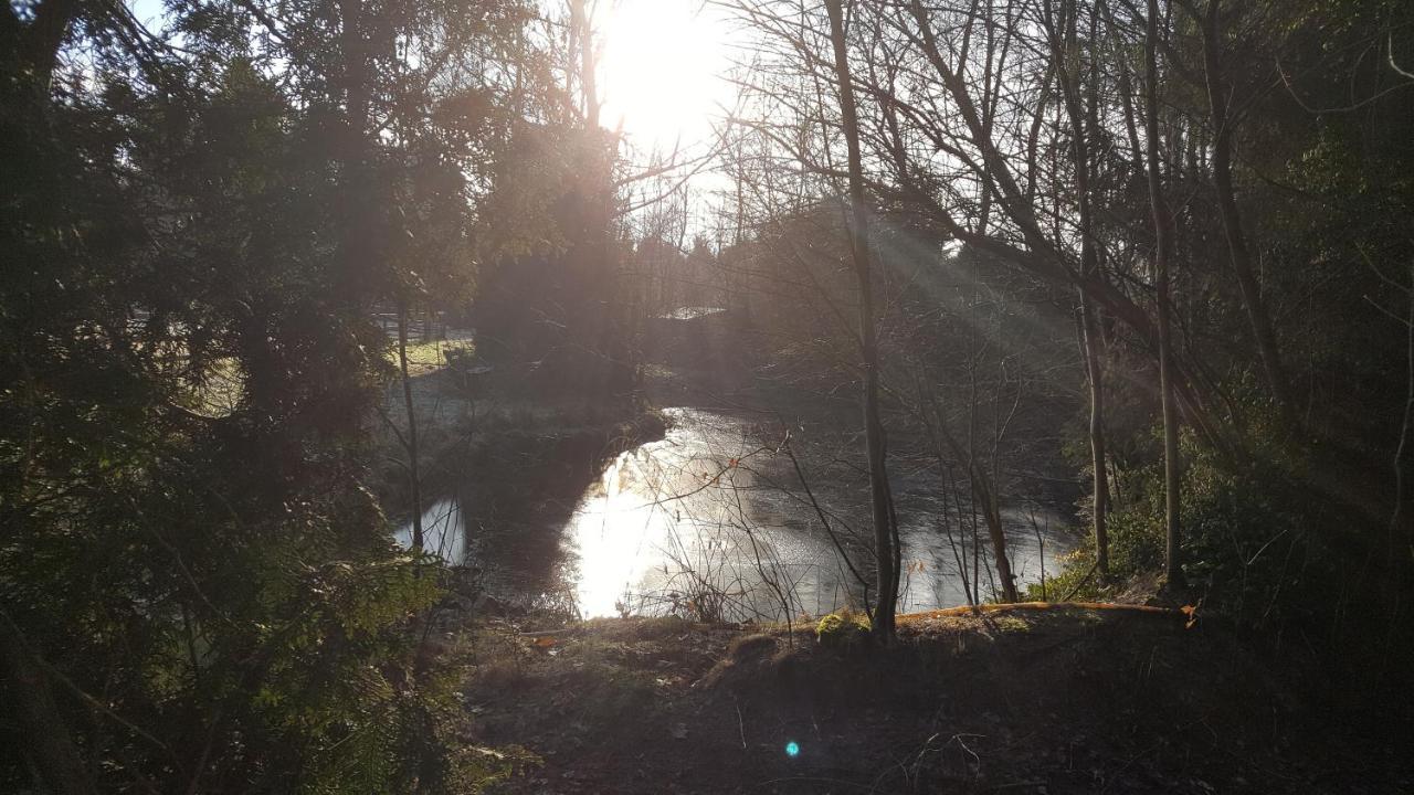 Reewold Veluwe * Putten