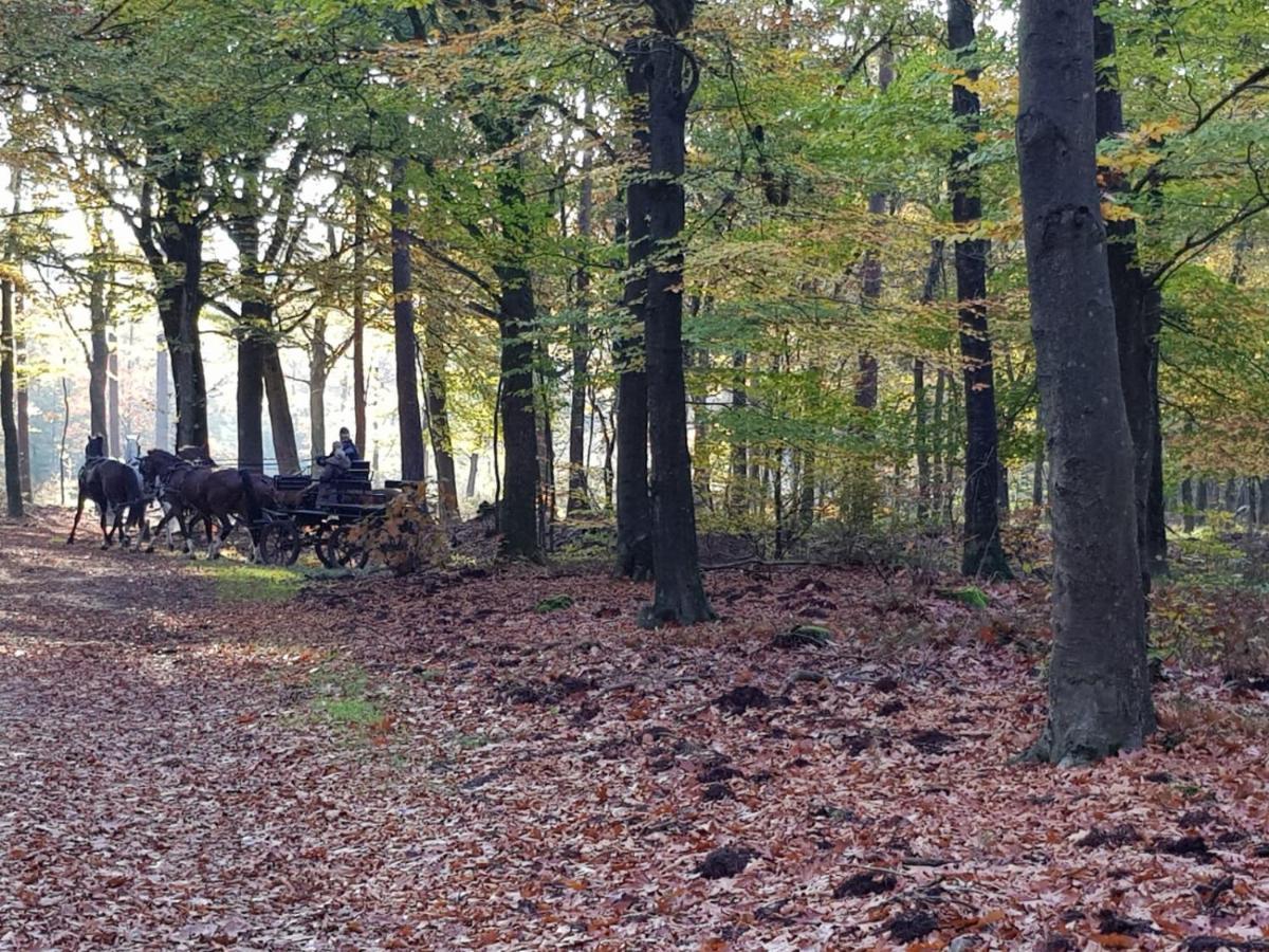 Reewold Veluwe *
