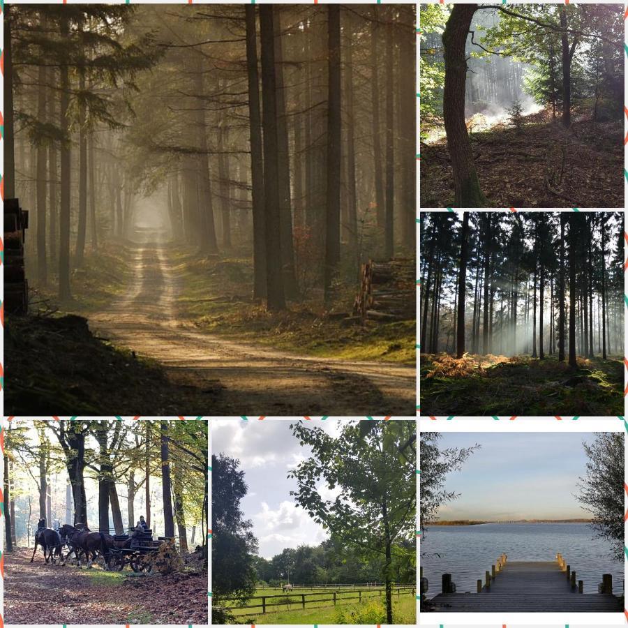 Reewold Veluwe Chalet *